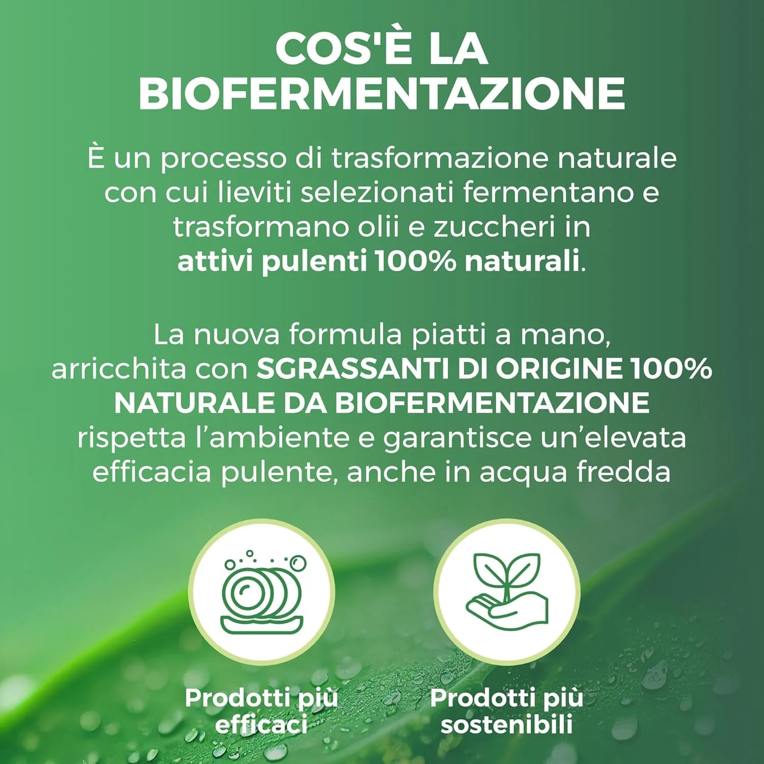 Immagine prodotto 6